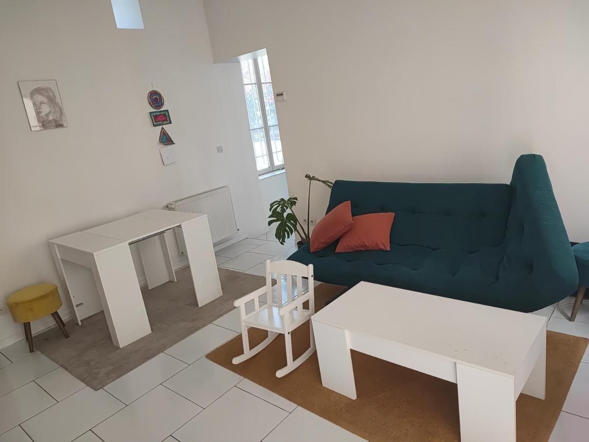 Appartement Chateau Des Montees 올리언스 외부 사진